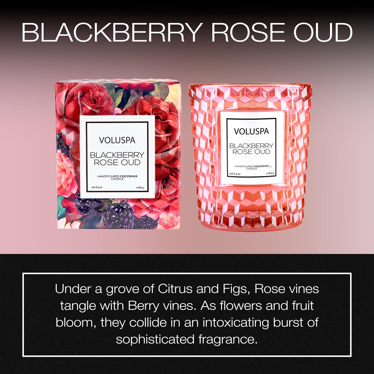 Voluspa BlackBerry Rose Oud, Classic Candle Jar, 6.5 oz, 40 Hour Burn Time, Coconut Wax for Clean Burning, Handcrafted in The USA