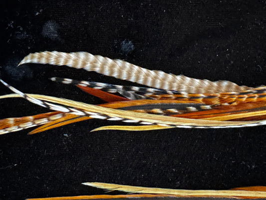 Feathers and Fringe Earrings