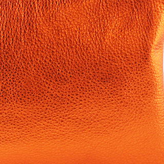 The Lisa Cellphone Crossbody Pouch
