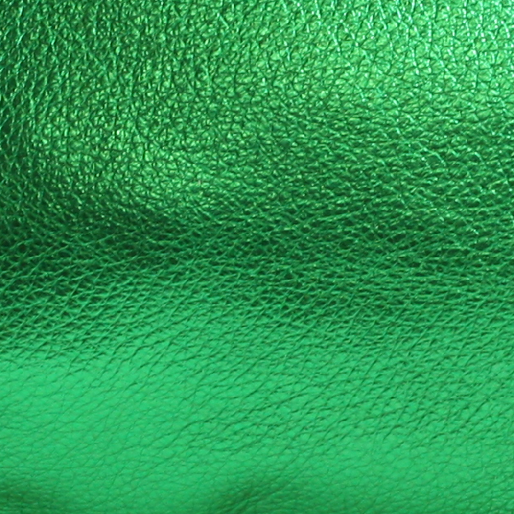 The Lisa Cellphone Crossbody Pouch