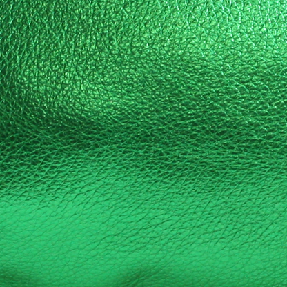 The Lisa Cellphone Crossbody Pouch