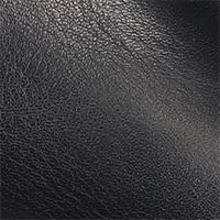 Frye Women's Billy Pull On Stud, Black - 6M