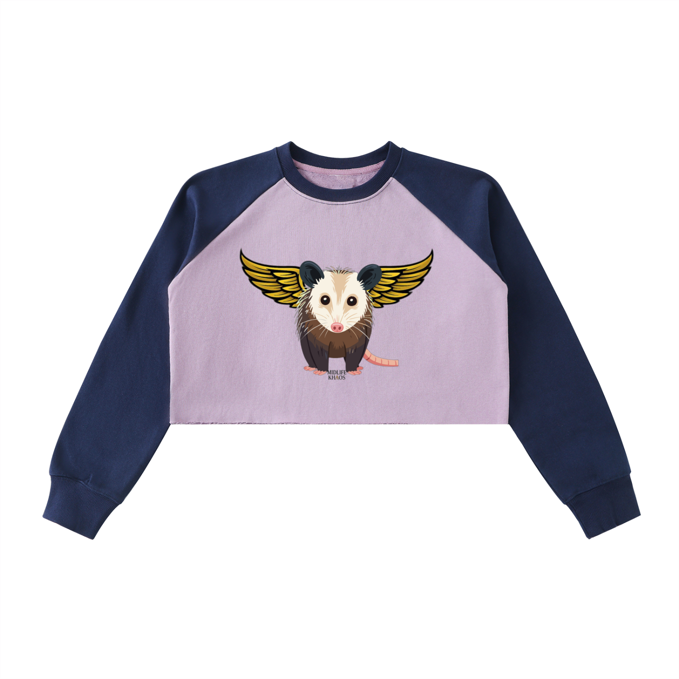 Raw-Hem Color-Block Raglan Crop Sweatshirt Opossum