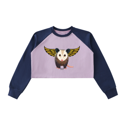 Raw-Hem Color-Block Raglan Crop Sweatshirt Opossum