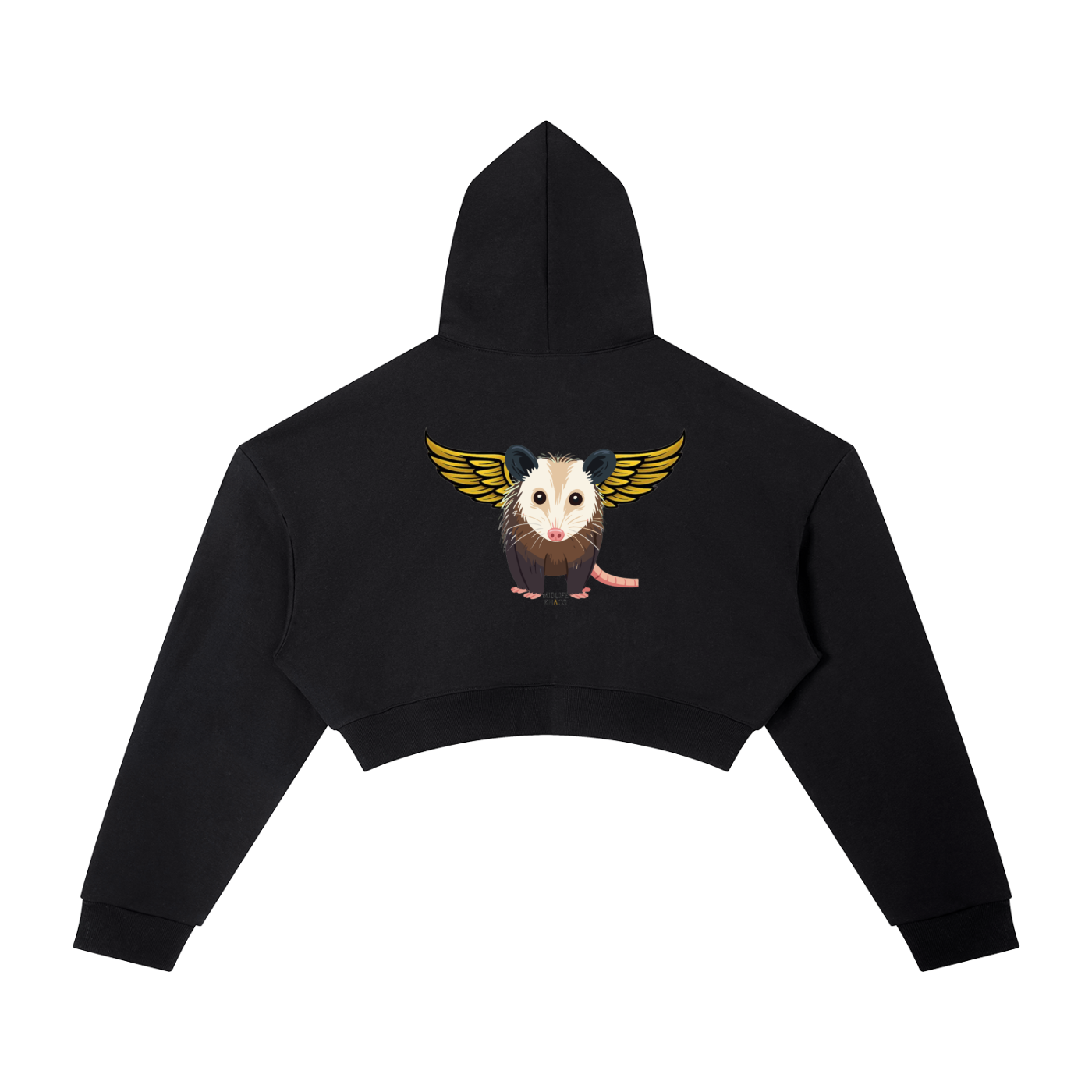 Essential Cropped Hoodie
