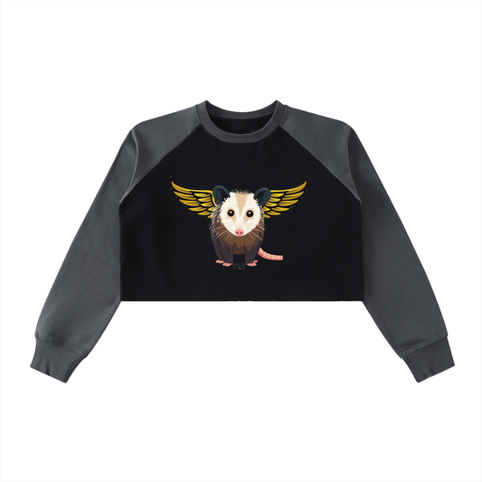 Raw-Hem Color-Block Raglan Crop Sweatshirt Opossum