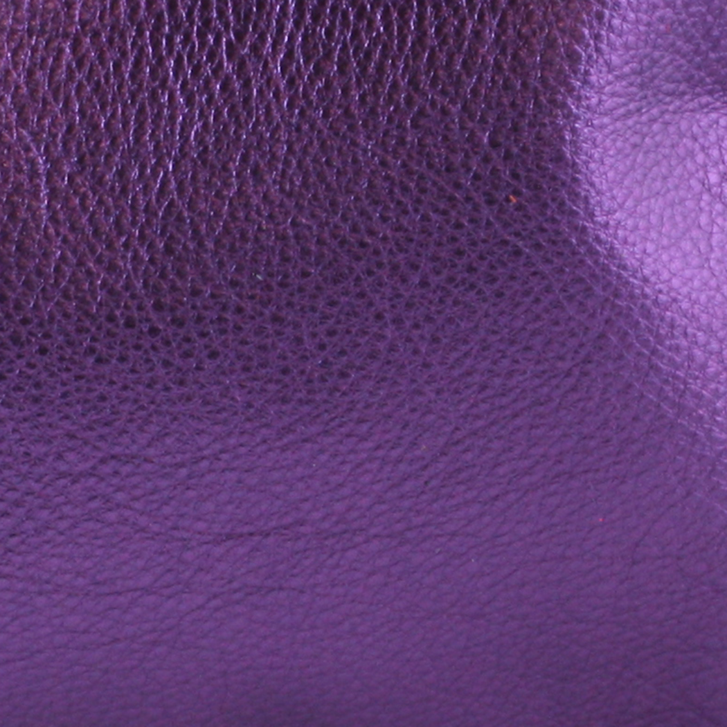 The Lisa Cellphone Crossbody Pouch