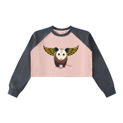 Raw-Hem Color-Block Raglan Crop Sweatshirt Opossum