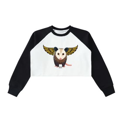 Raw-Hem Color-Block Raglan Crop Sweatshirt Opossum