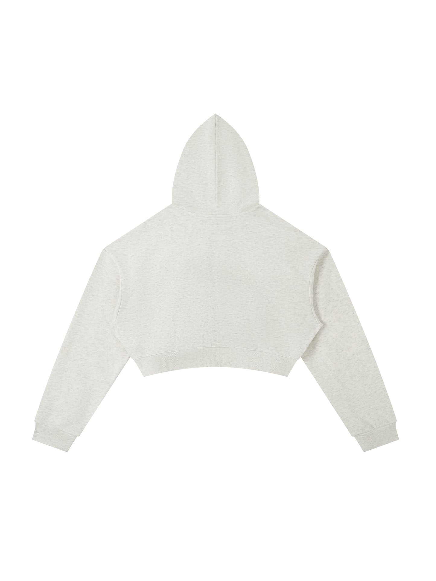 Essential Cropped Zip-Up Hoodie Raccoon
