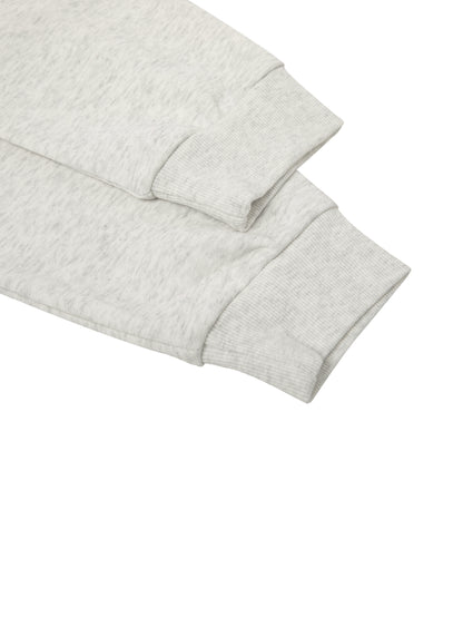 Essential Cropped Zip-Up Hoodie Raccoon